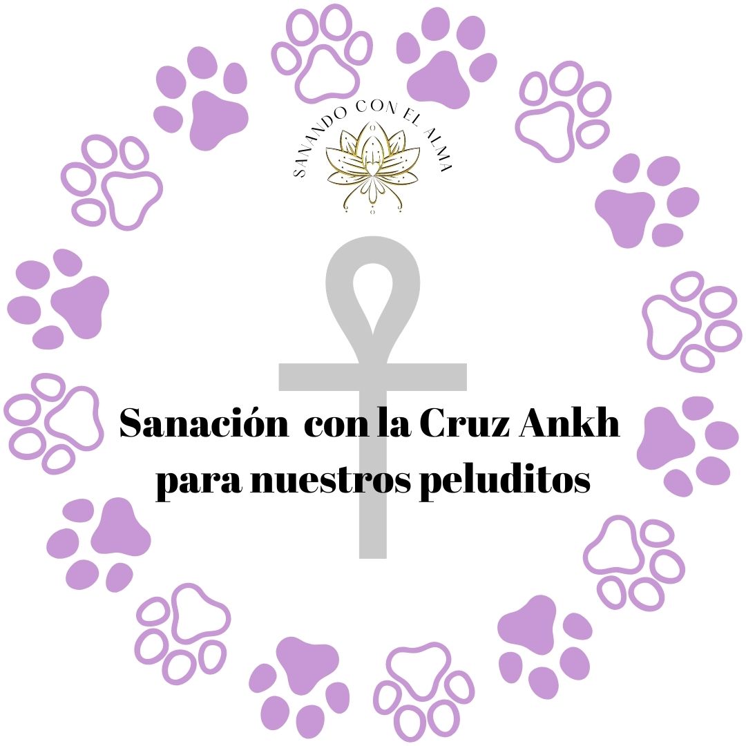 Sanación con la Cruz de Ankh para nuestros peluditos.